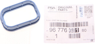 PSA / Citroen / Peugeot 96 776 681 80