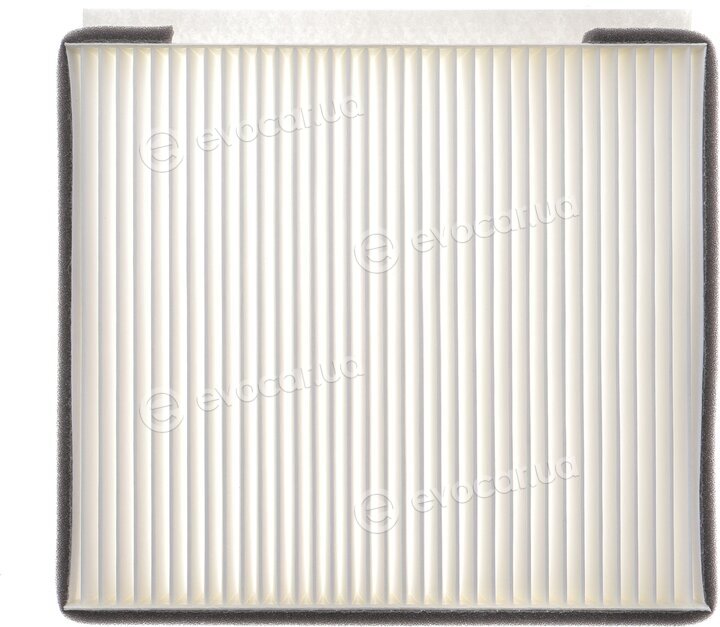 Wunder WP955
