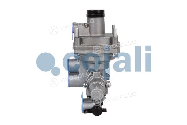 Cojali 2320406