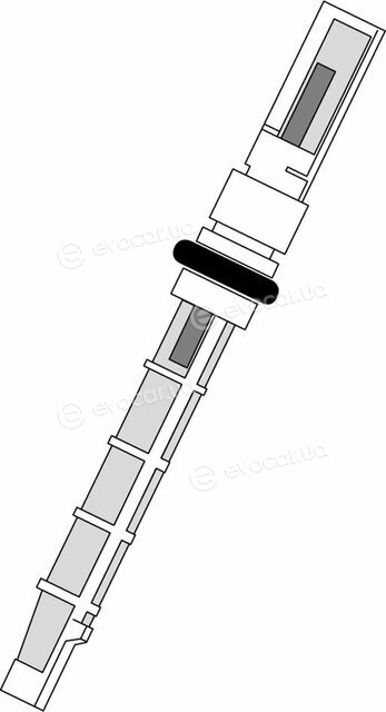 Delphi TSP0695190