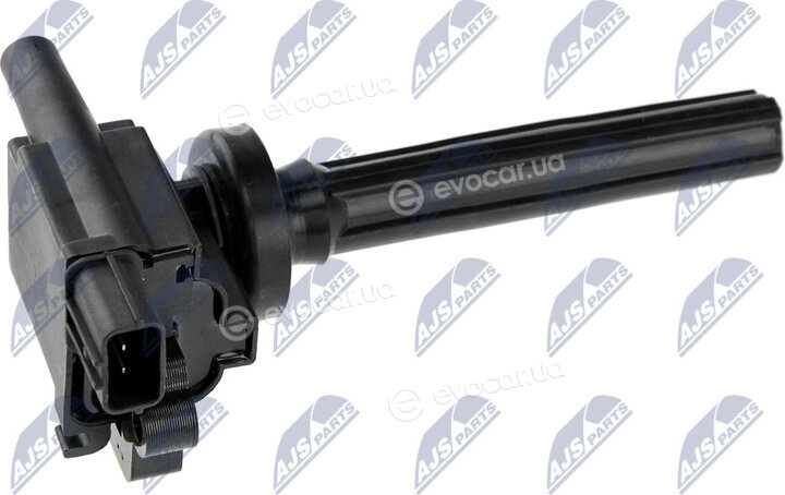 NTY ECZ-MS-001