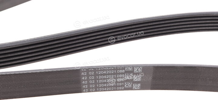 Continental 6PK1560