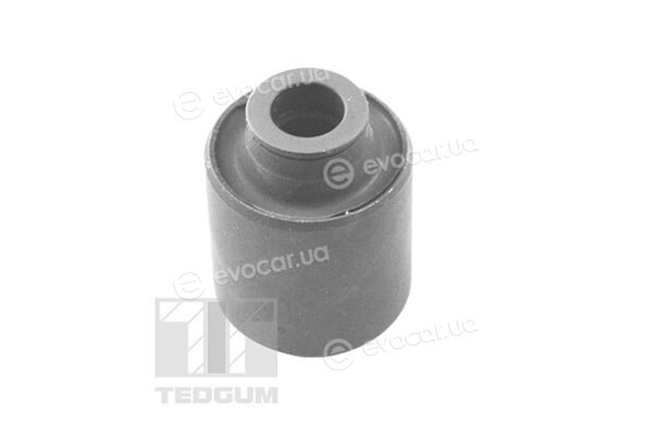 Tedgum TED12066