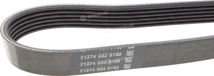 Dayco 6PK1744