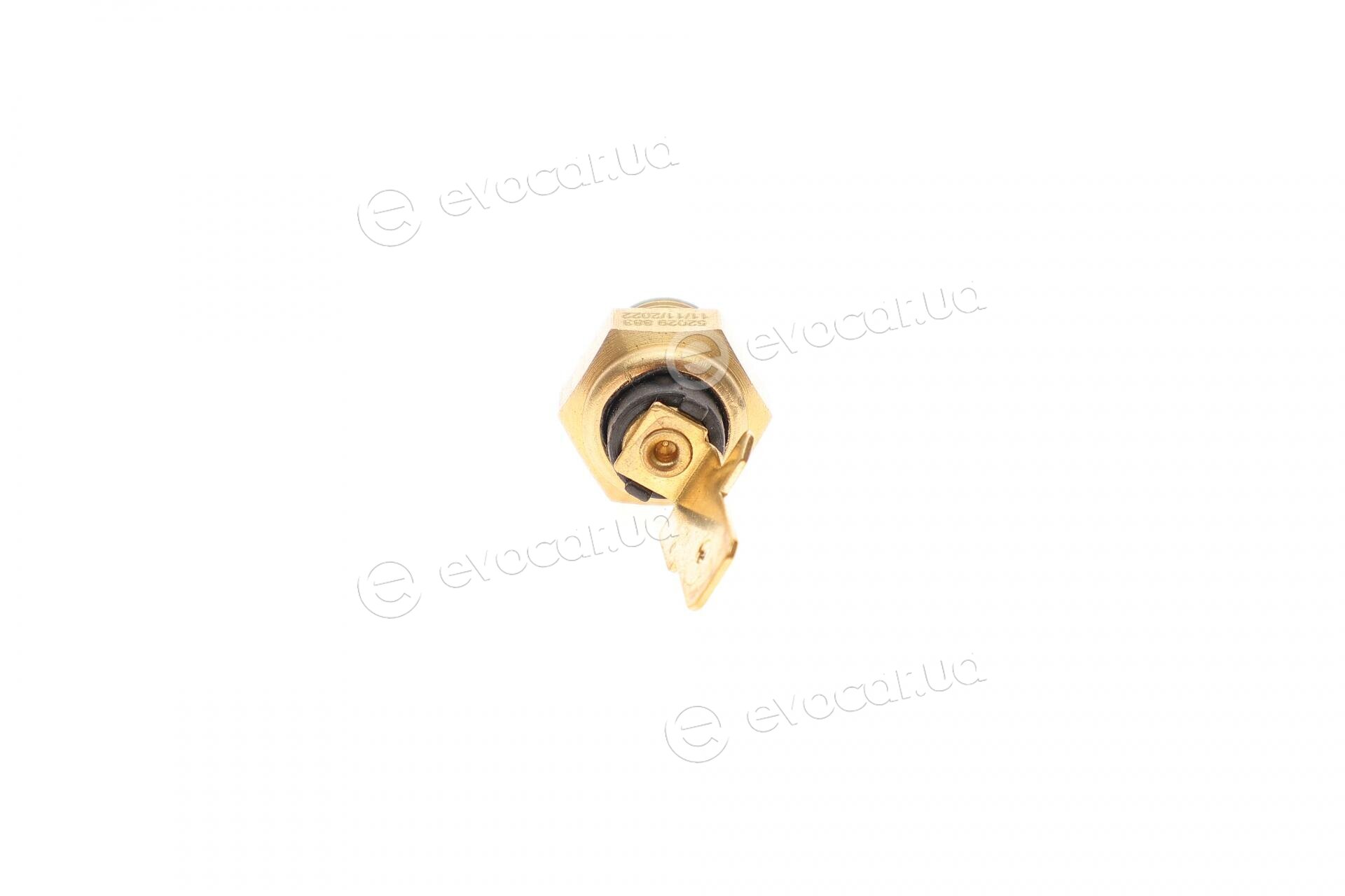AIC 52029