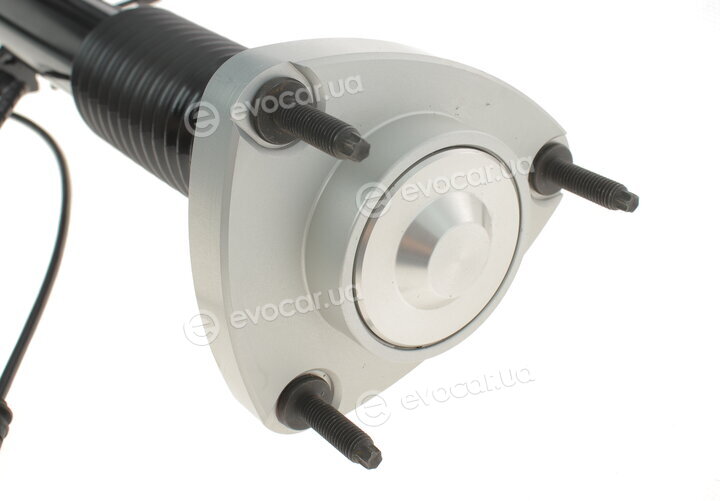 Arnott SK-3817
