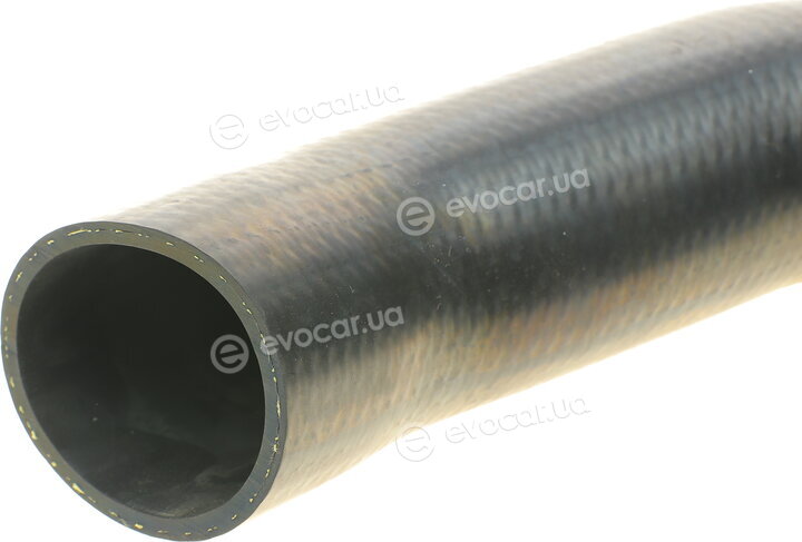 Solgy 114100