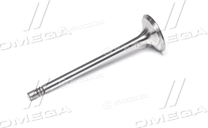 Gunes 4582