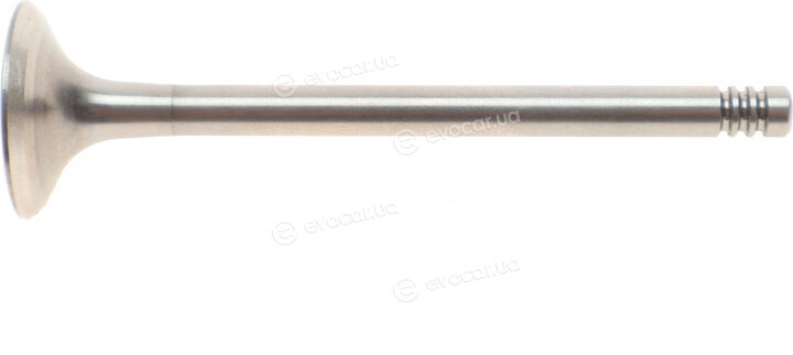 AMP PAUD063-A-0-N