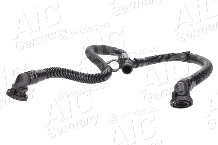 AIC 71981