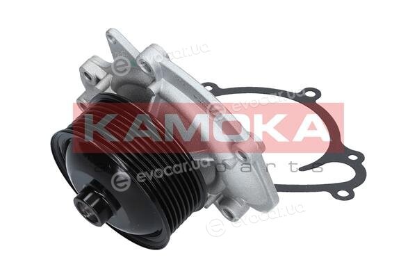 Kamoka T0191
