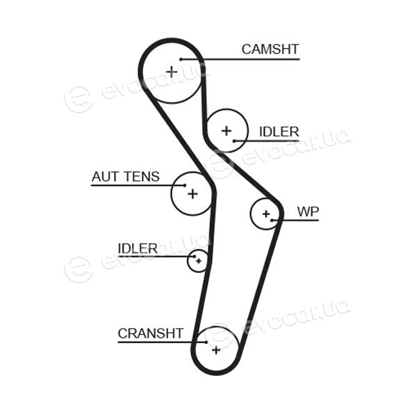 Gates K015616XS