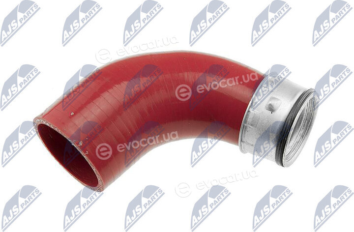 NTY GPP-VW-031