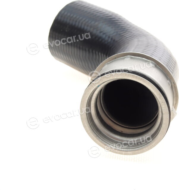Solgy 114174