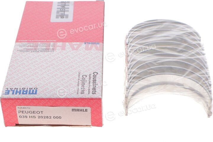 Mahle 039 HS 20282 000