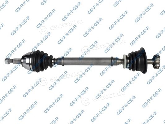GSP 250197