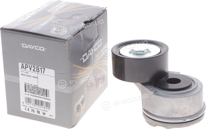 Dayco APV2817