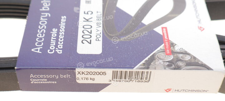 Hutchinson 2020 K 5