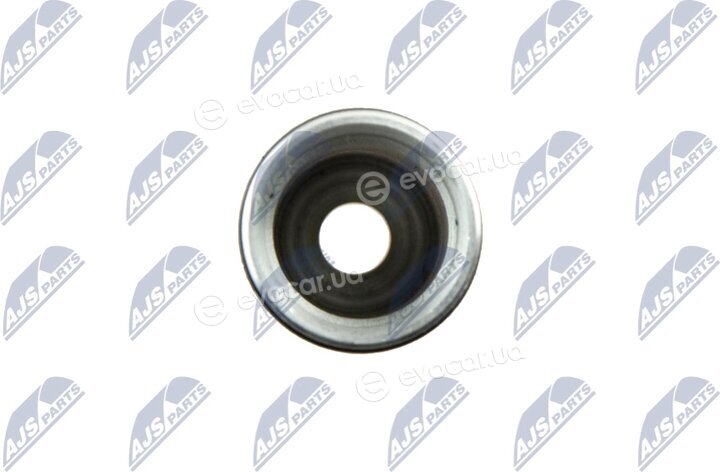 NTY BWP-PL-000