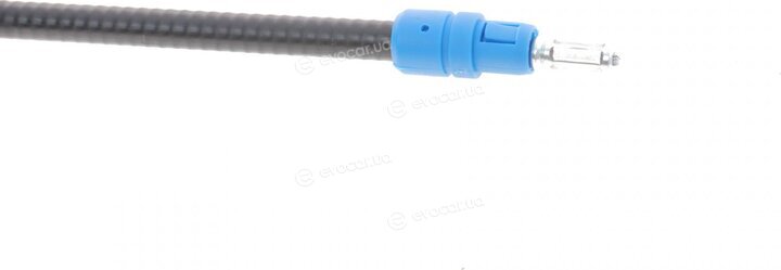 DP BC 24004 TUR