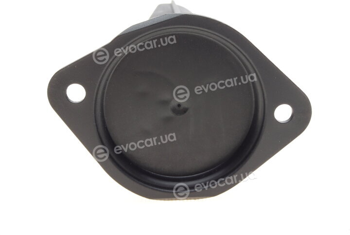AIC 55388