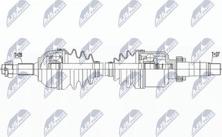 NTY NPW-PE-091