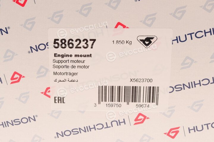 Hutchinson 586237
