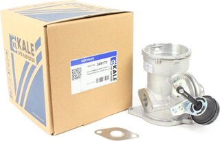 Kale 349170