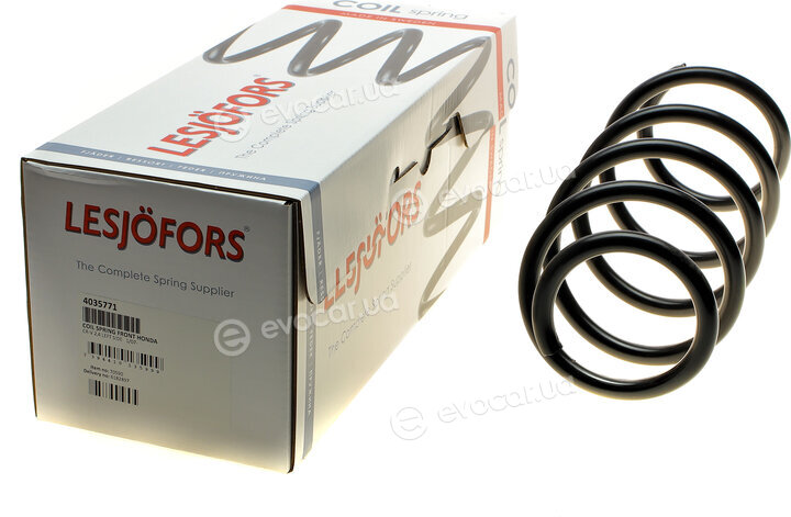 Lesjofors 4035771