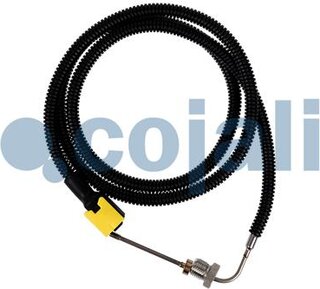 Cojali 2260881