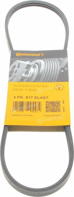 Continental 3PK817 ELAST