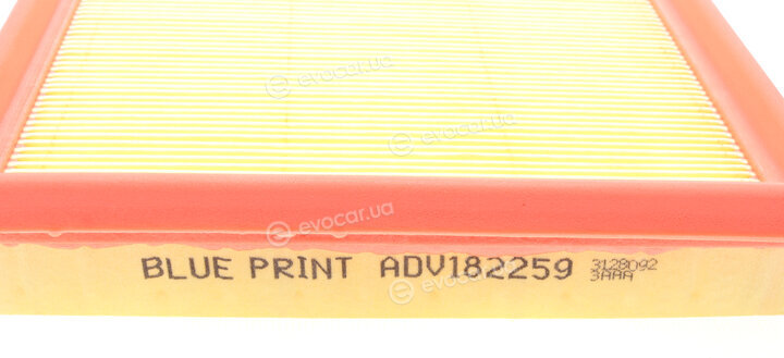 Blue Print ADV182259