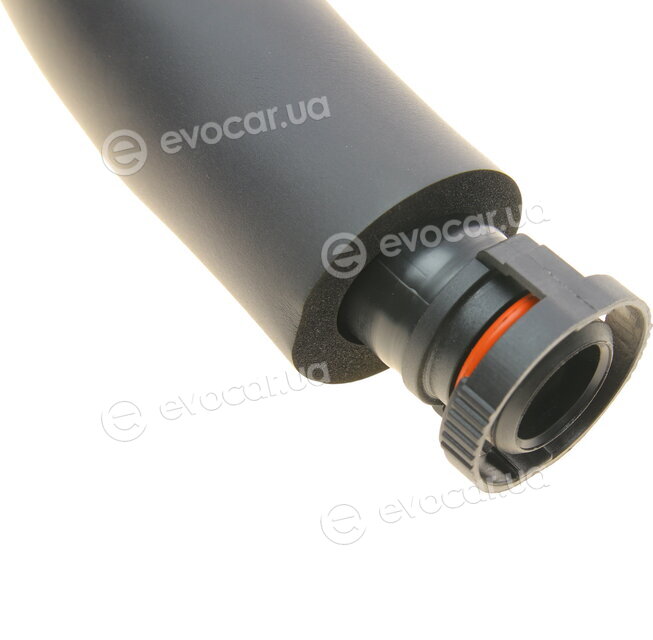 Bogap B1210100