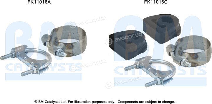 BM Catalysts FK11016