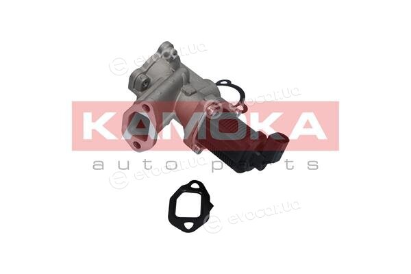 Kamoka 19018