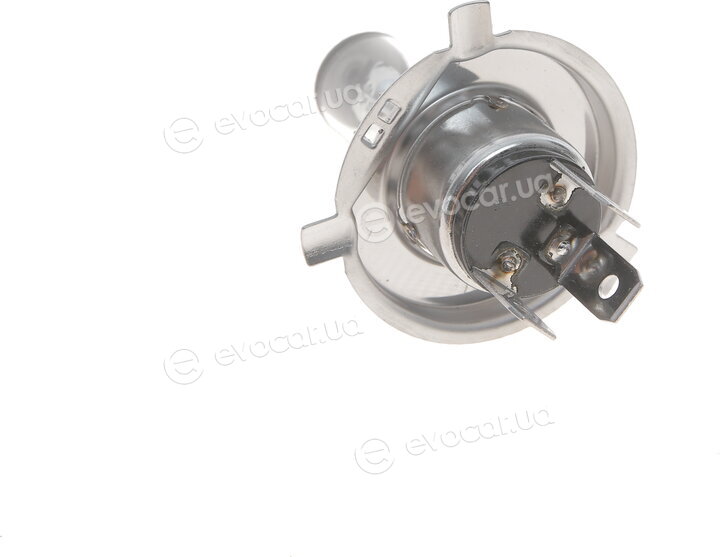 Bosch 1 987 302 041