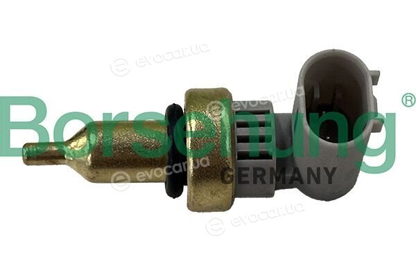 Borsehung B13487