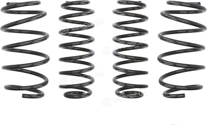 Eibach E10-81-005-01-22