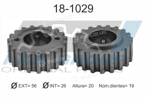 IJS Group 18-1029