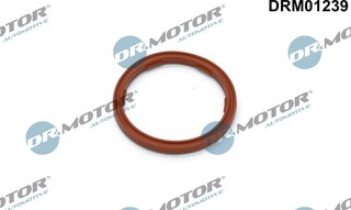 Dr. Motor DRM01239