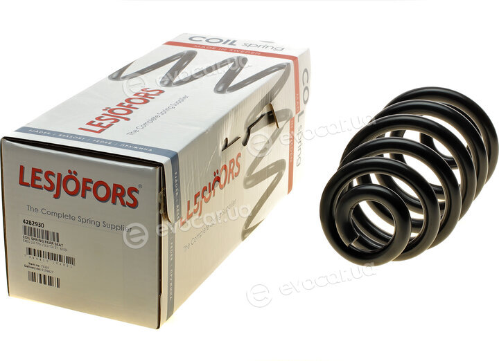Lesjofors 4282930