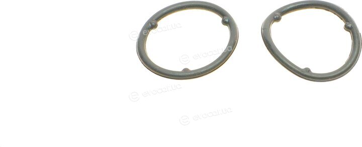 Elring 631.880