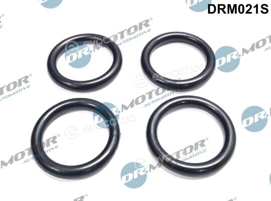 Dr. Motor DRM021S