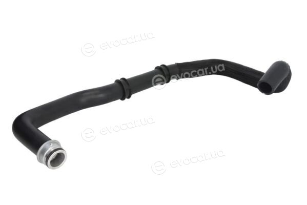 Thermotec DWP068TT