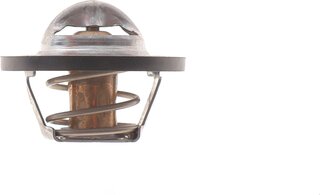 Motorad 202-82K
