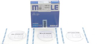 Mahle 021 01 V0