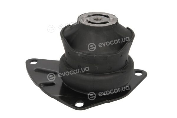 Reinhoch RH11-0026