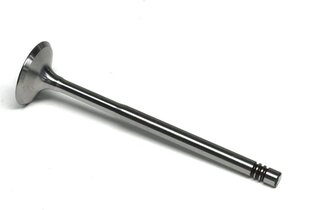 Gunes 6008