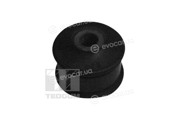 Tedgum 00228413