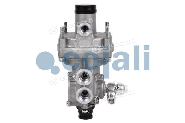 Cojali 2220331